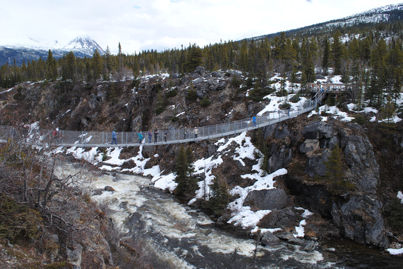 Yukon Suspension Bridge over Tutshi River