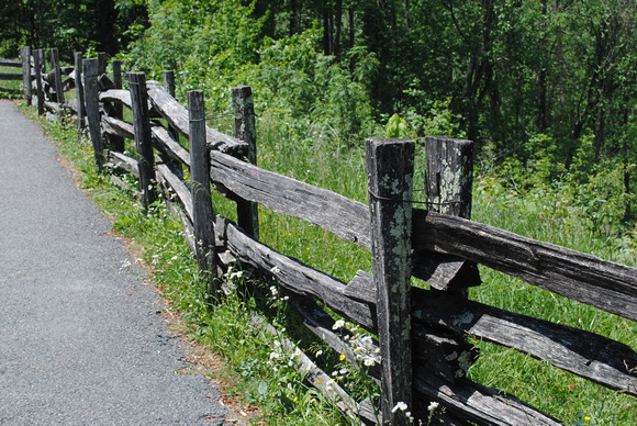 Rustic Post and Rail