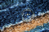 Bubble on Carpet